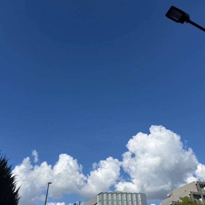 【夏だねぇ】