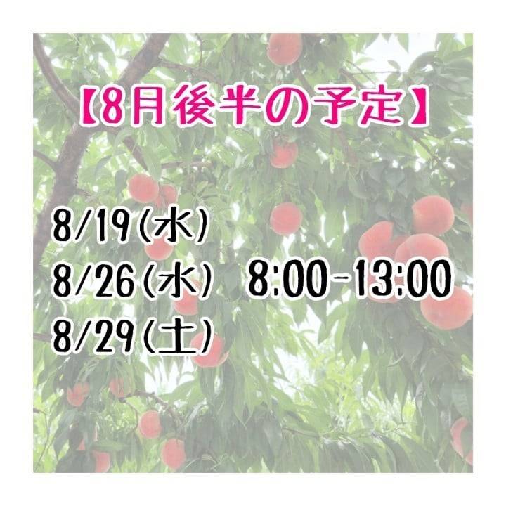 【8月後半の予定🔔】