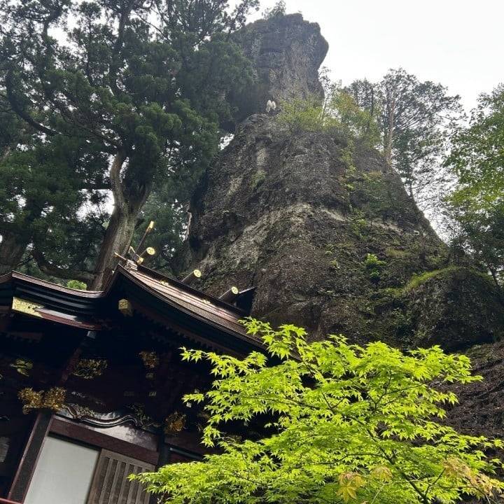神様仏様かのこ様