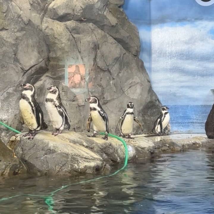 ただいま☺️