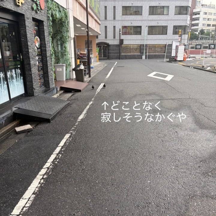 お盆の後の静けさ