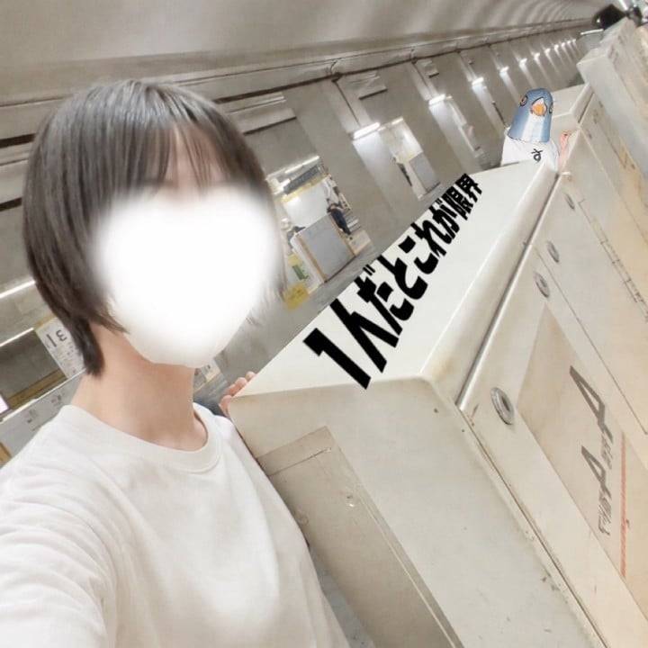 飛び込んできて🥳