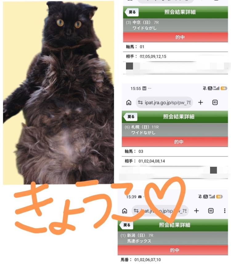 お休み中！