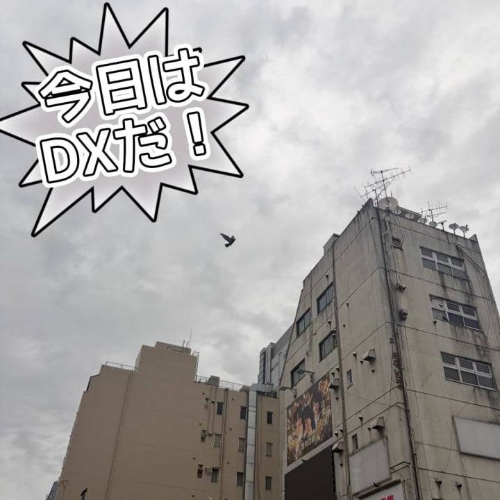 かぐやDX
