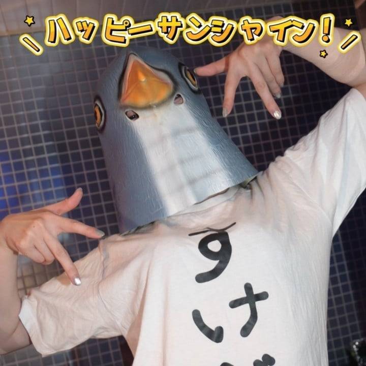 サンシャインかぐや