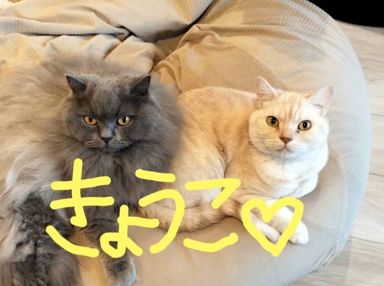 お休み中！