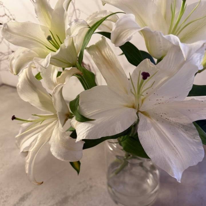 昨日は…💋