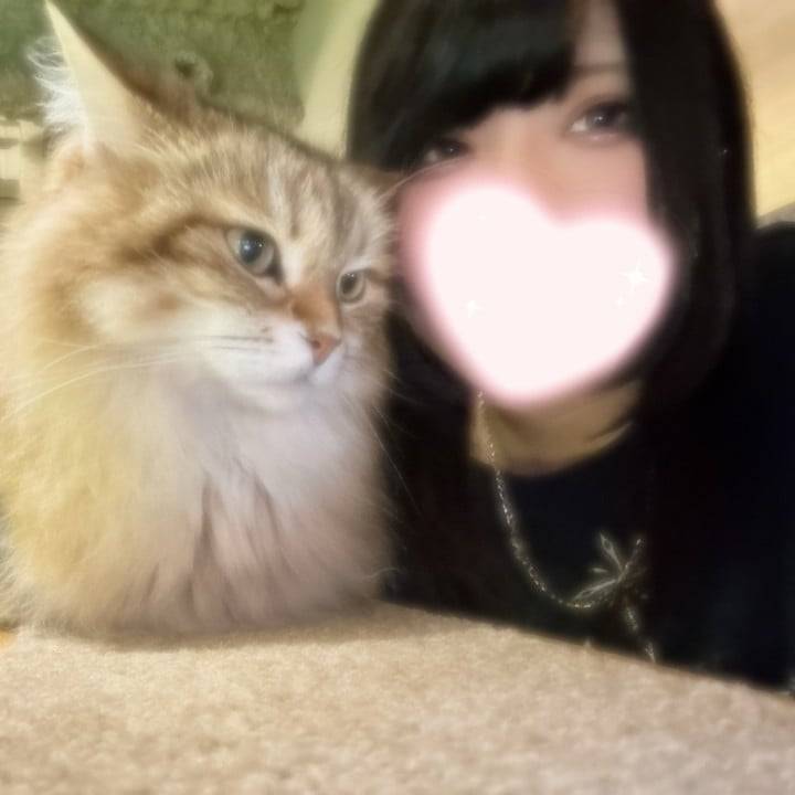 どっち派？