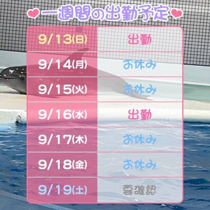 9月後半！🫧