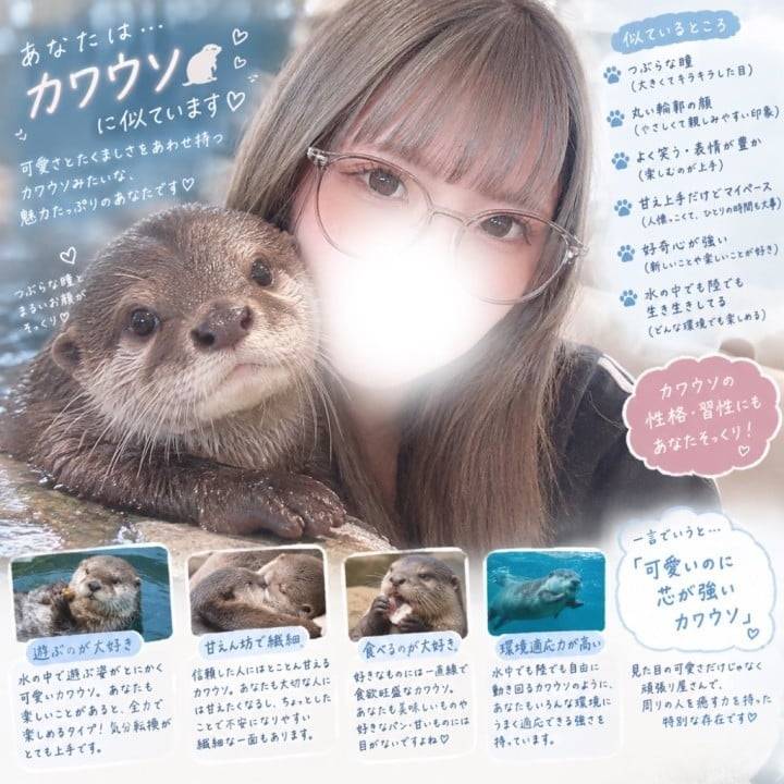 カワウソ🦦💕