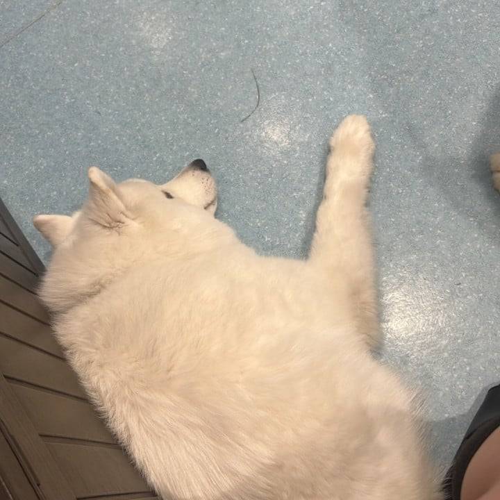 おはようございます☀️