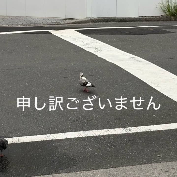 申し訳ございません