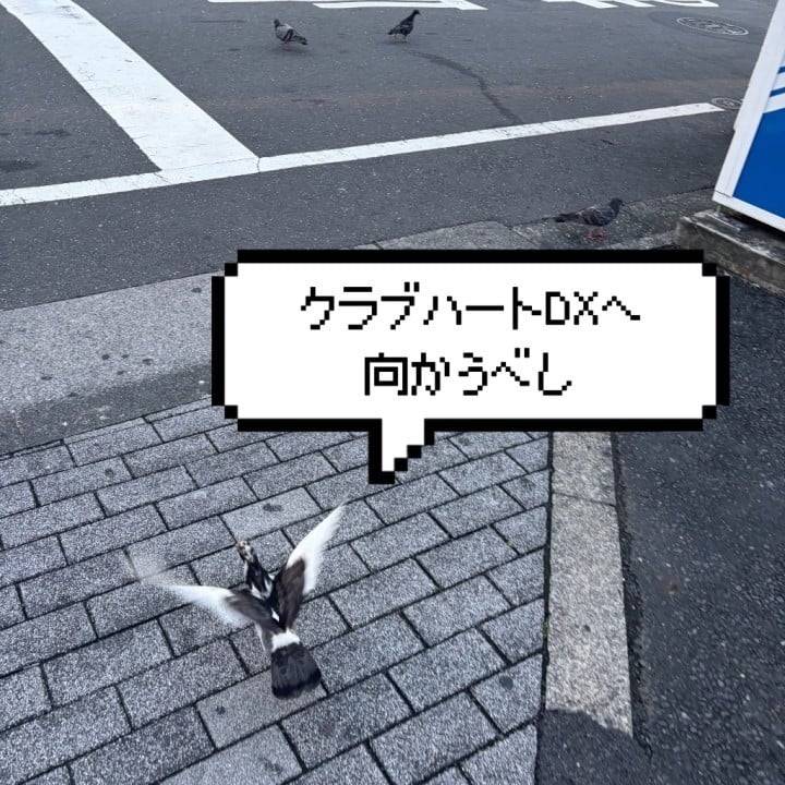 かぐやDX