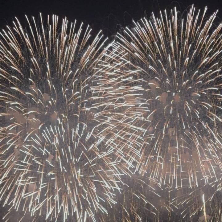 お久しぶりです！