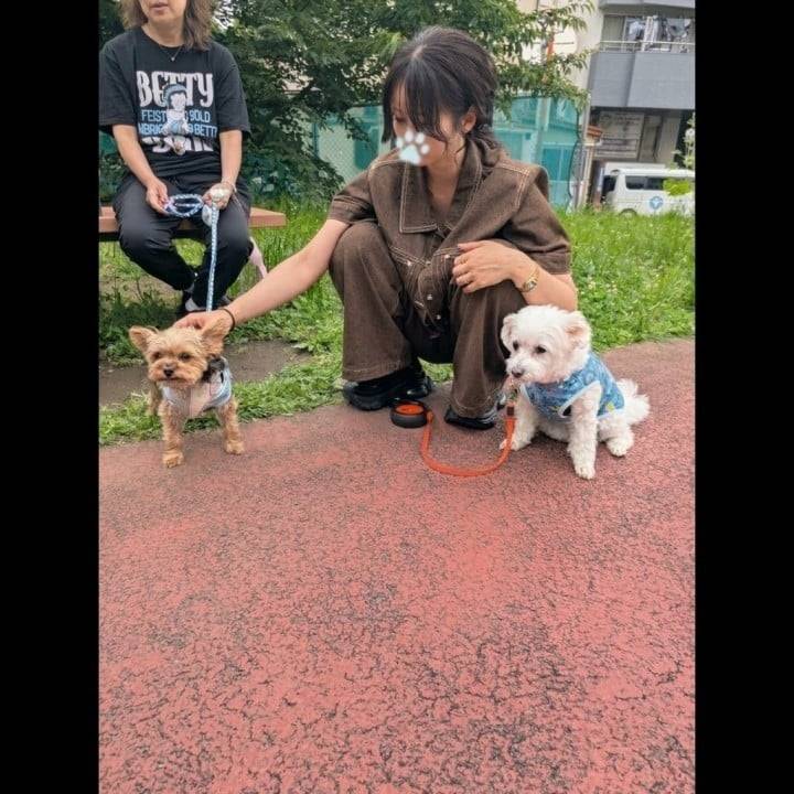 10月の予定決まりました！