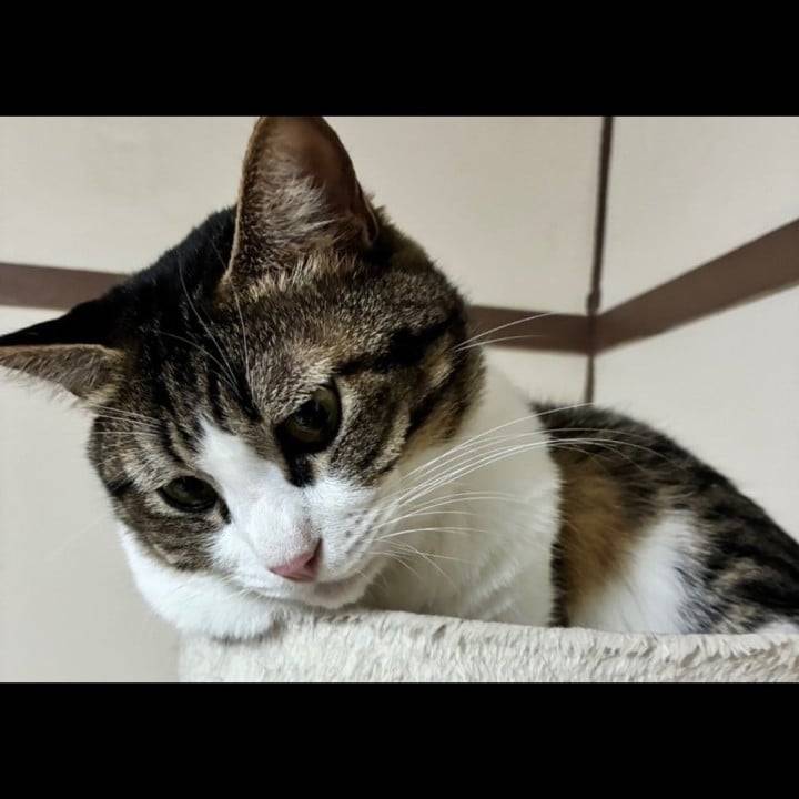 リフレッシュ映画🎬🐾