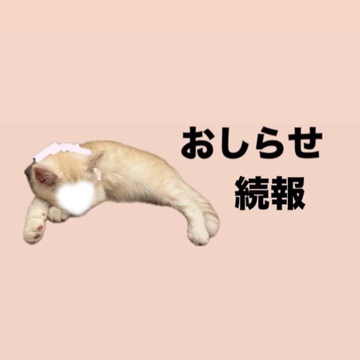 お知らせの続報