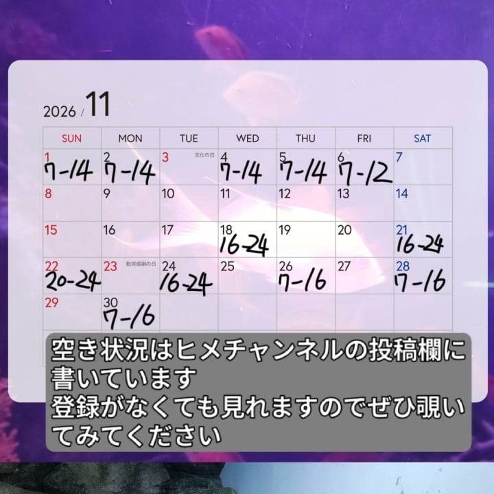 11月シフトになります