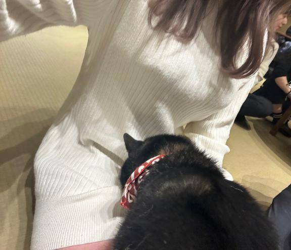 満員御礼??♀?