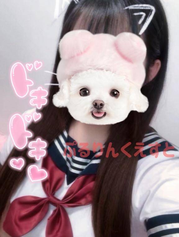 にゃんにゃんっ