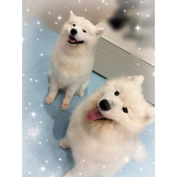 もっふもふ??