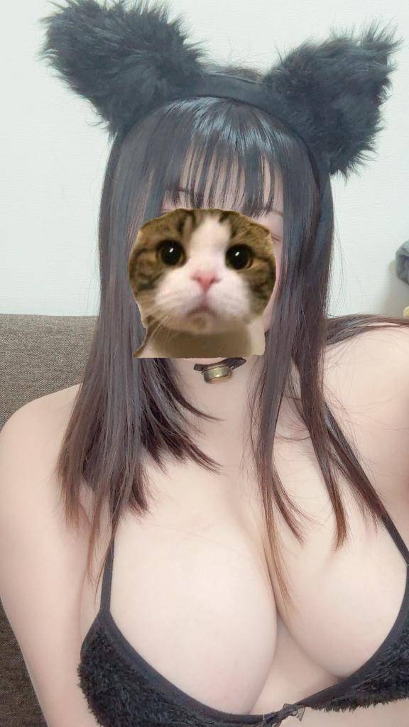 にゃんちゃん❣️🐱