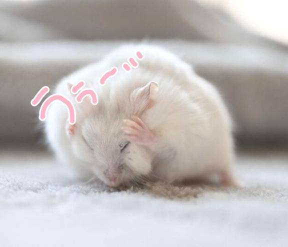 え、つら、リアル