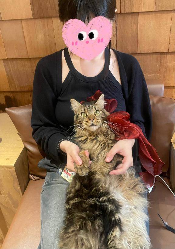 推しとのツーショ