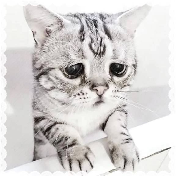 辛い...🥲