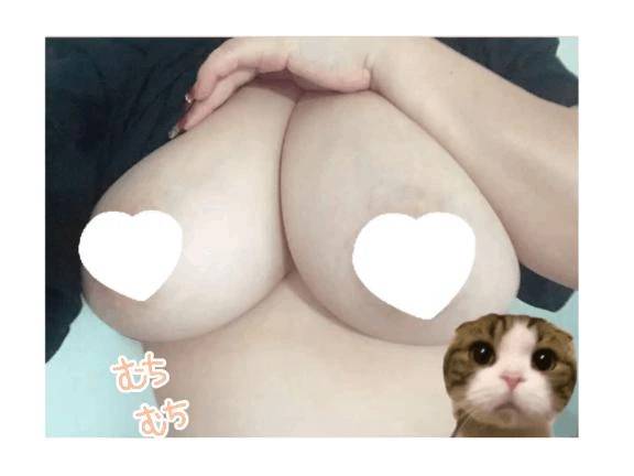 ゲームして、寝る