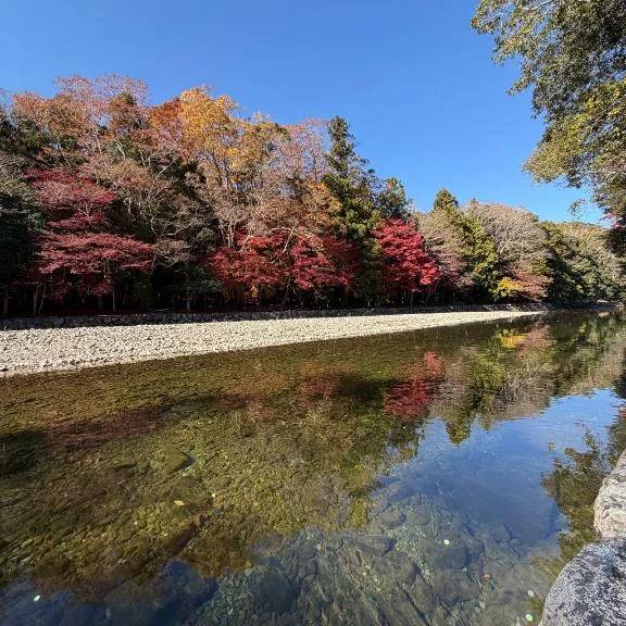ごめんなさい🙇‍♀️