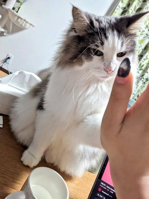 ごめんなさい(；；)