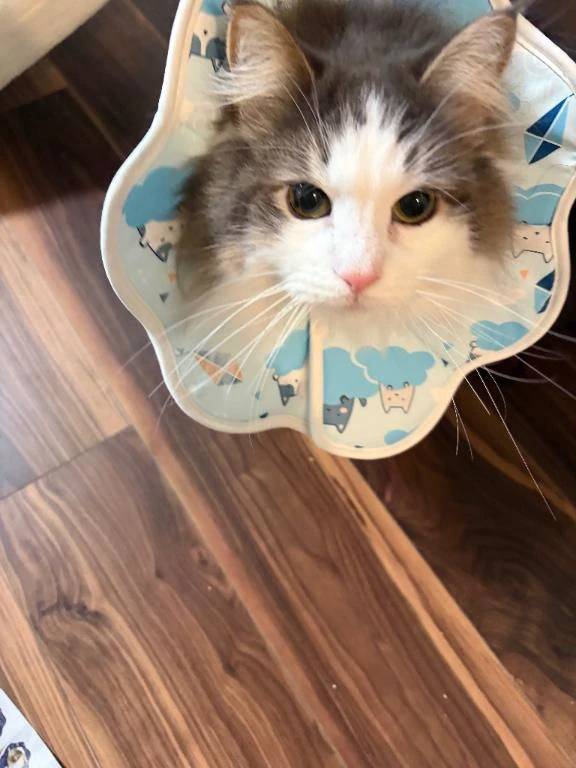 落ち着きました〜( *´꒳`*)