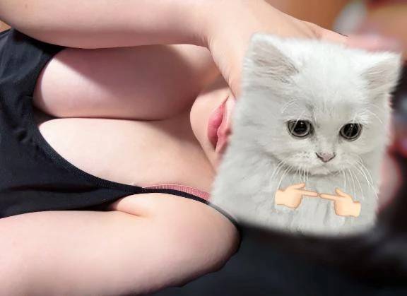 🈳情報😻