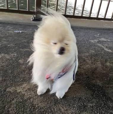 ️🩵愛言葉️🩵