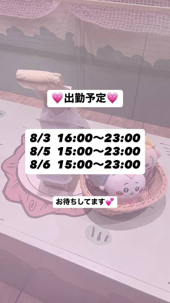 今週の予定