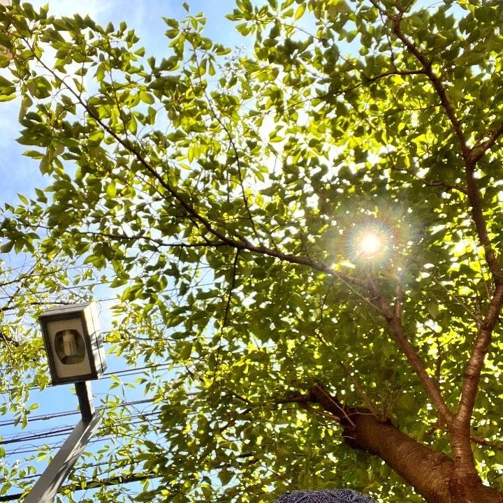 ありがとうございます！