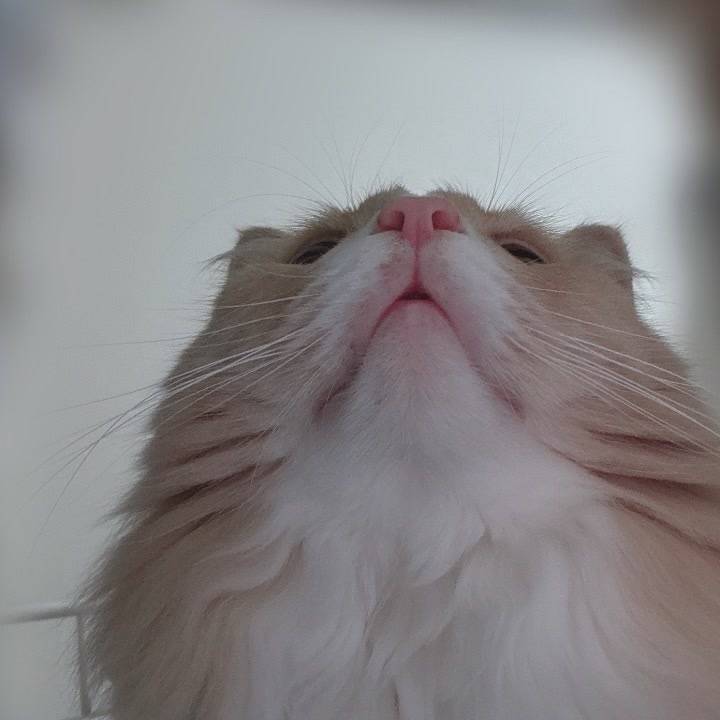 やらかしたw