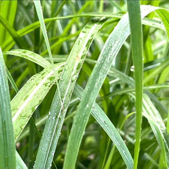 案内枠のお知らせもあり