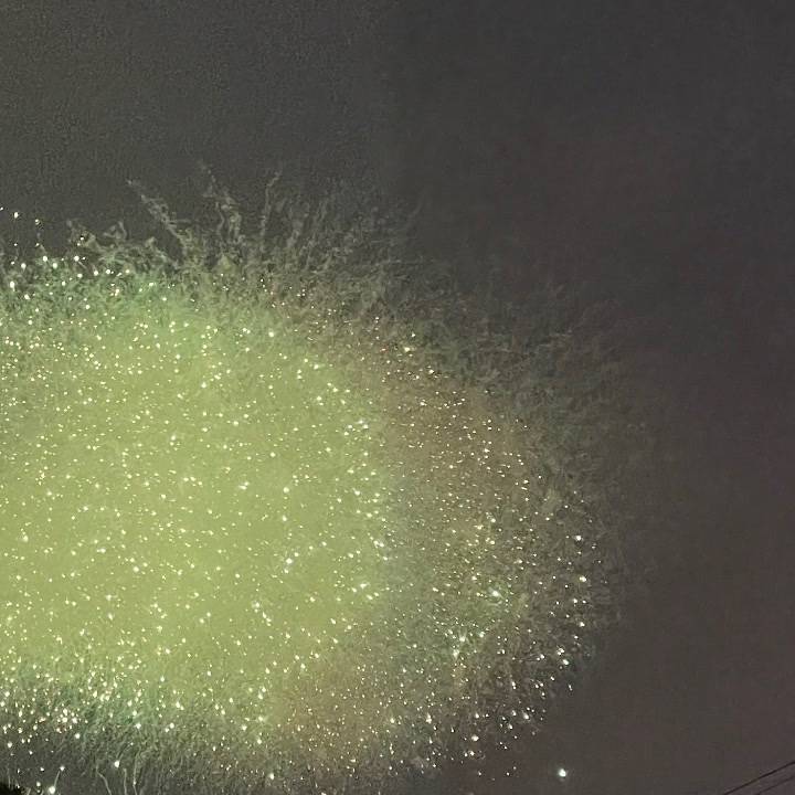 こんにちは
