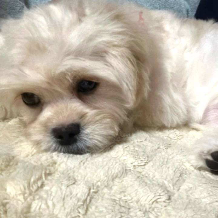 明日出勤します🥰