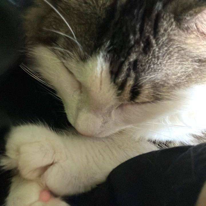 明日もお休みします