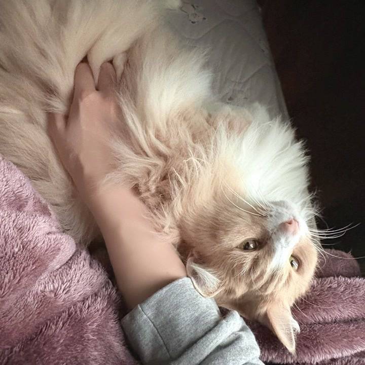 明日も(*´˘`*)💓