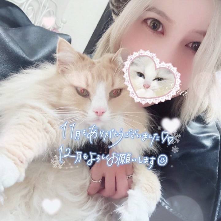 11月ありがとうございました✨️💗