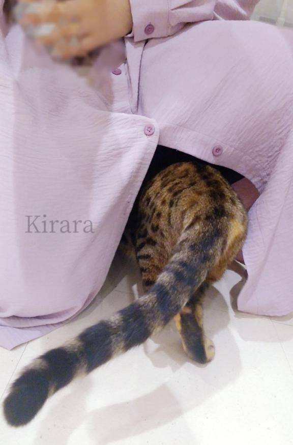 ずーっと入ってて欲しい?