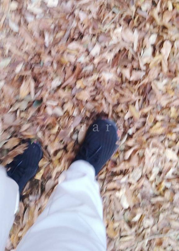 落ち葉は散る瞬間が美しい