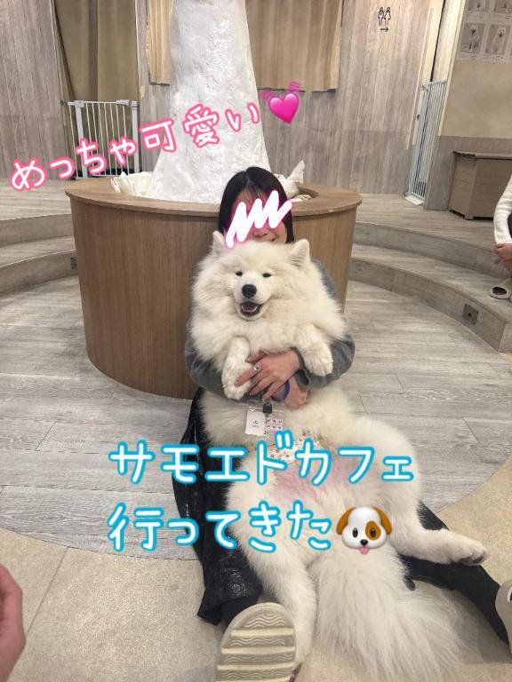 二度寝さいこー????