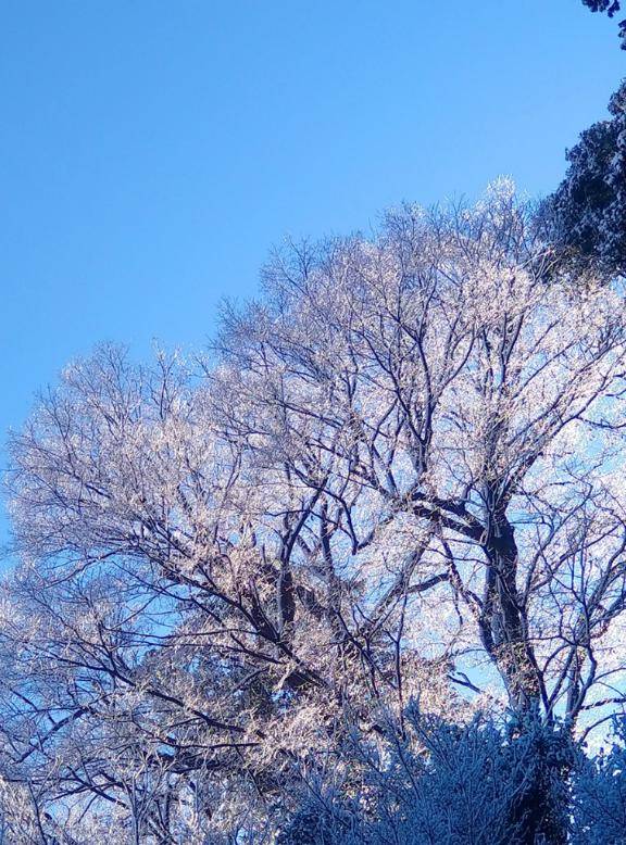 徳を積んだからいいことあるに決まってる