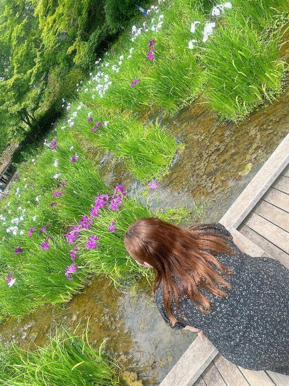 今週のお知らせ??