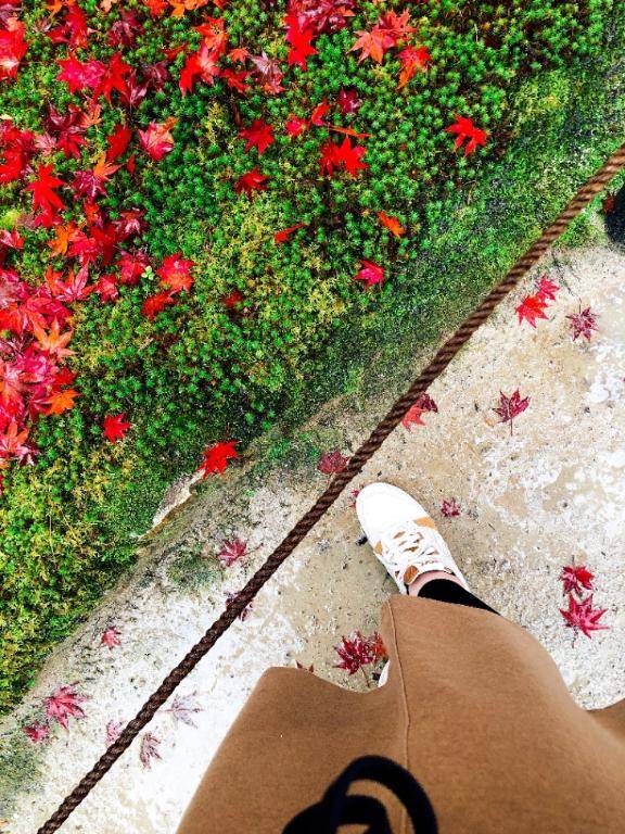 ２月の仮シフト??